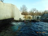 1718_Tiergarten_2a_23